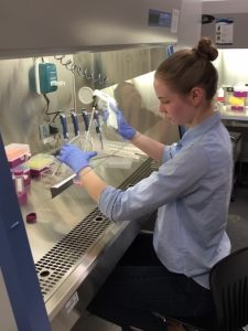 Hannah Staley mastering the art of differentiating MN9D cells -a dopaminergic neuron cell line. Hannah's research tied first place at the STaRS research competition!