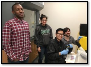 Jonathon, Natalie, Jeremy, and Luis working on C. elegans and dopamine cell culture experiments (Spring 2017).