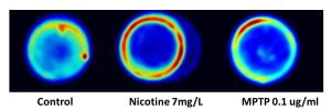 Behavioral heat maps generated by Ethovision XT shows effects of nicotine on zebrafish swim patterns, compared to control and MPTP exposure.
