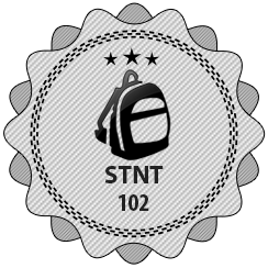 STNT 102 badge