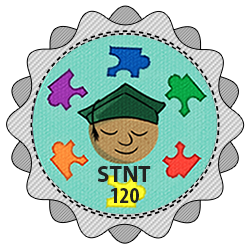 stnt 120 badge